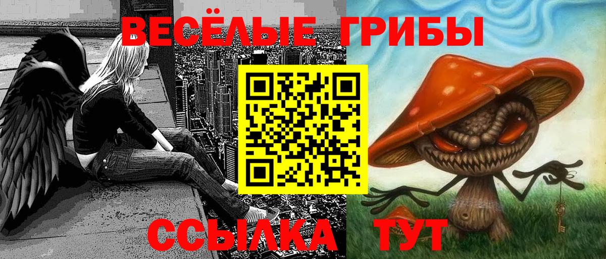 Псилоцибиновые грибы Magic Shrooms  Вход с VPN  Знаменск 
